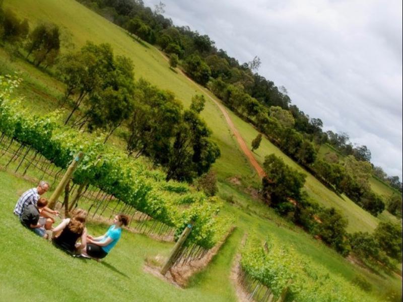 Oceanview Estate Vineyard Cottages Ocean View Dış mekan fotoğraf