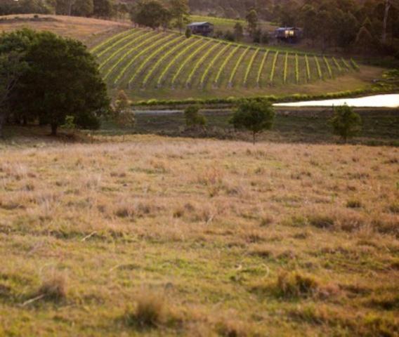Oceanview Estate Vineyard Cottages Ocean View Dış mekan fotoğraf